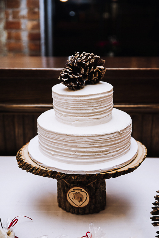 estons-cake-with-pinecone-topper-winter-toledo-wedding