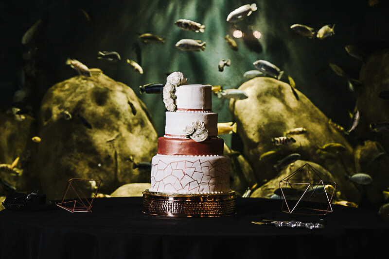 7-little-cupcakes-wedding-cake-at-malawi-toledo-zoo