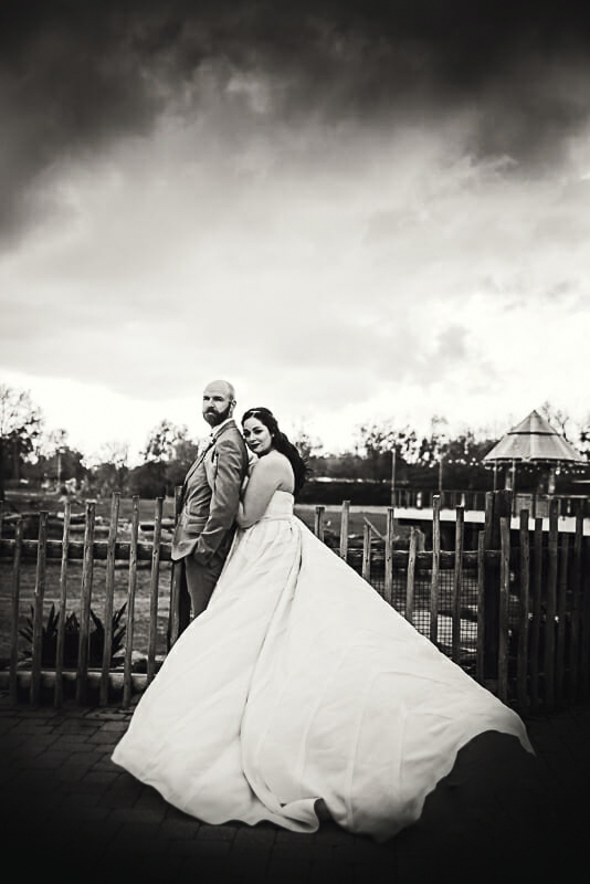 dramatic-wedding-photo-at-toledo-zoo