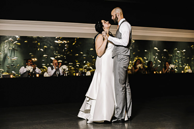 first-dance-at-malawi-toledo-zoo