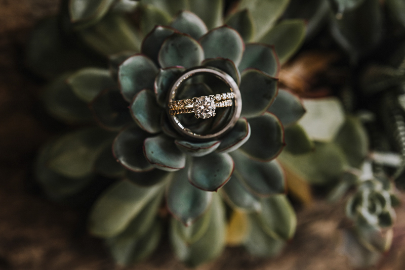 ring-photo-in-succulents